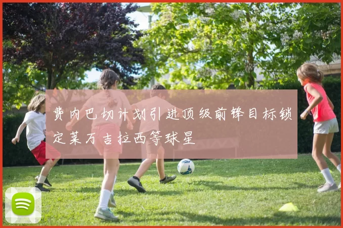 费内巴切计划引进顶级前锋目标锁定莱万吉拉西等球星