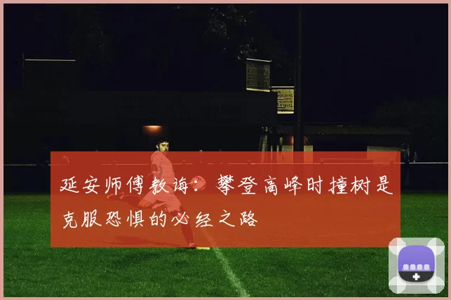 延安师傅教诲：攀登高峰时撞树是克服恐惧的必经之路