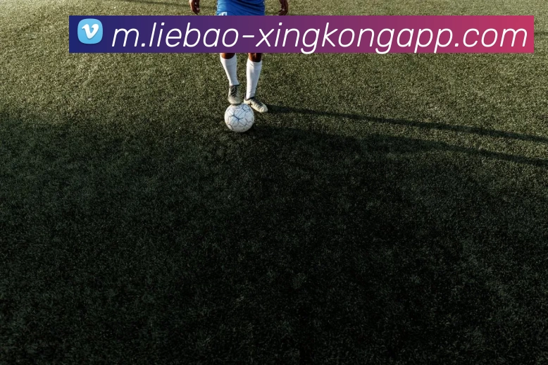 对战数据统计